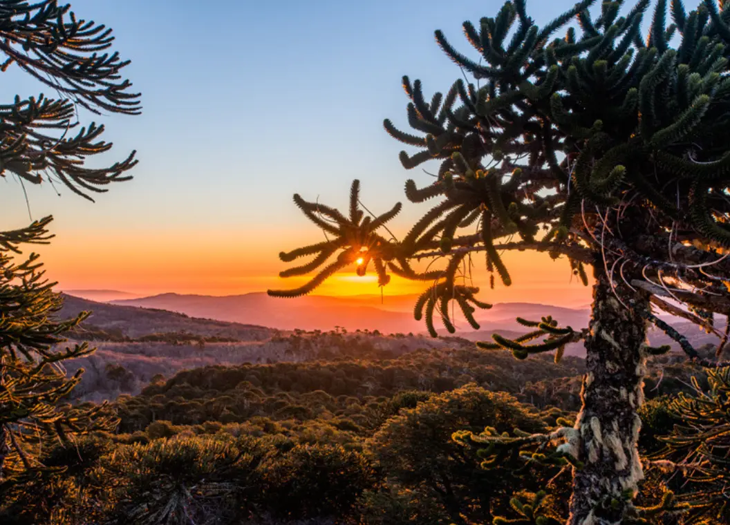 Qué hacer en Cañete